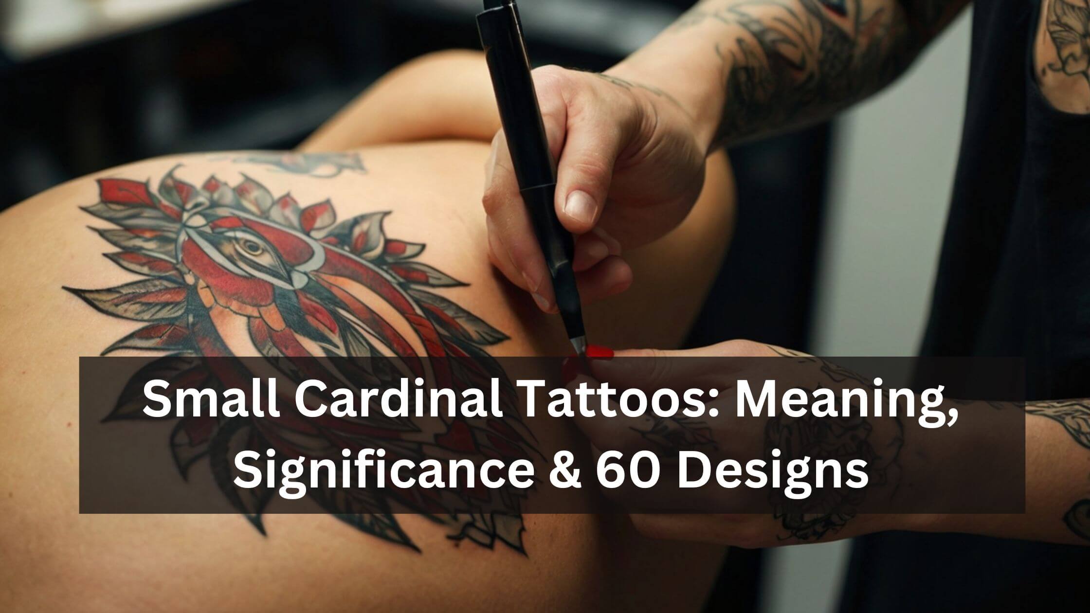 A detailed cardinal tattoo with vibrant red and black feathers, featuring an eye motif, being inked on a person's back.